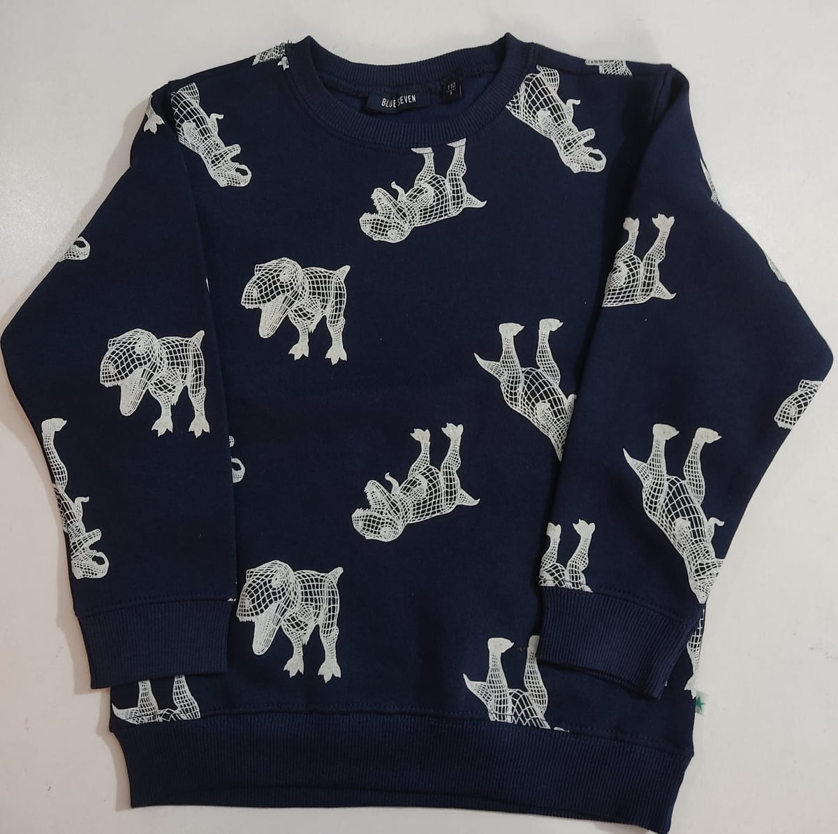 Sweatshirt for Boys