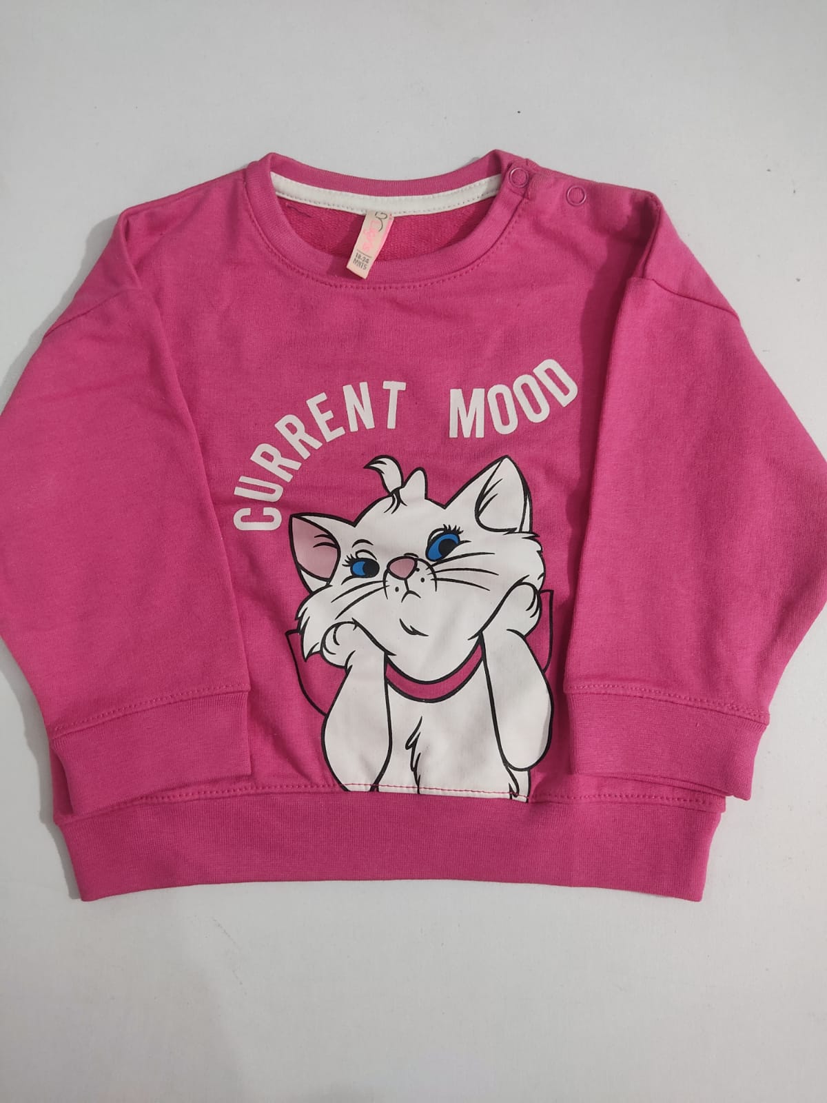 Pepperland Sweatshirt For Girls