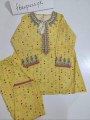 Well Look Lawn Embroidered Dress